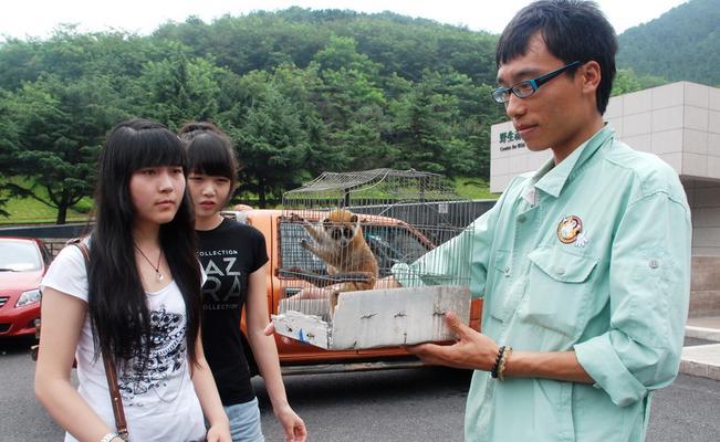 懒猴宠物饲养指南（如何打造健康、快乐的懒猴家庭）