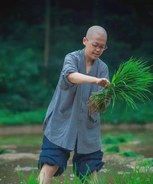 如何饲养三宝鸟（宠物爱好者必读）