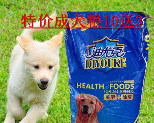 两岁半萨摩耶宠物的狗粮选择指南（为您的爱犬提供健康、营养、美味的饮食）