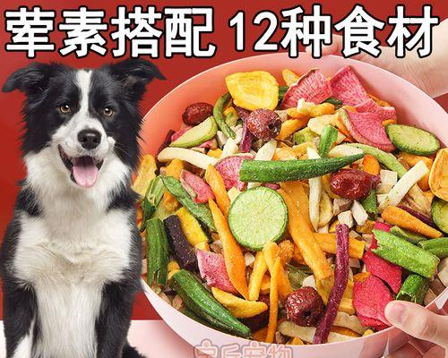 大型犬可否长年吃棒子面加狗粮（探究大型犬长期饮食偏好，分析棒子面和狗粮的优缺点）