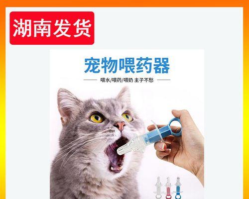 必备药品，宠爱猫咪从这些开始（猫咪必备药品有哪些？宠物医生推荐给你！）