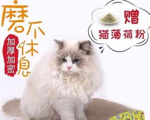 宠物猫咪的爪子为何会抓人出血？（猫咪伸爪子抓人的原因、如何避免猫咪抓人、抓伤后的应急处理方法）