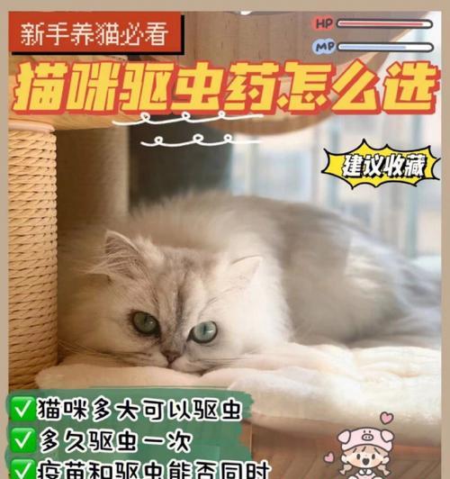 猫咪驱虫的正确方法（了解猫咪的驱虫周期，让它健康幸福）