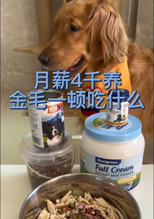 如何给几个月大的小狗提供健康的饮食？（以宠物为主，探索小狗饮食的秘密）