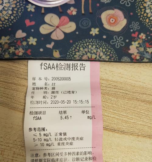 宠物猫血常规检查价格解析（了解猫血常规检查价格，保护宠物健康）