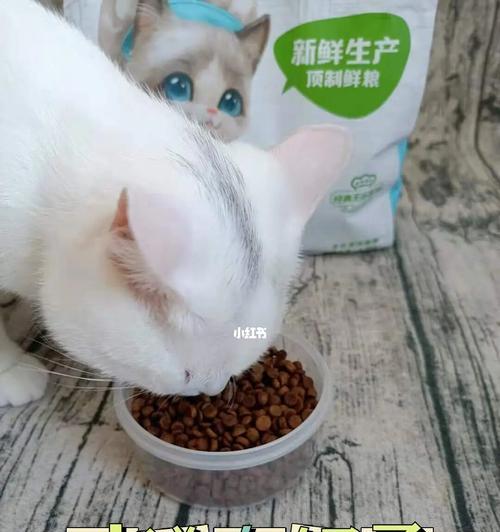 猫咪吃了猫粮拉肚子怎么办？（猫咪吃猫粮拉出血的原因及应对方法）