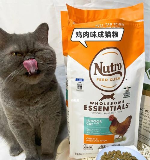 猫咪吃了猫砂，关注宠物健康