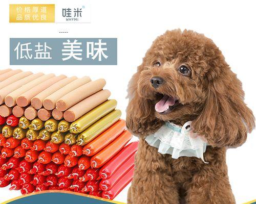 小心！泰迪犬不能吃这些食物