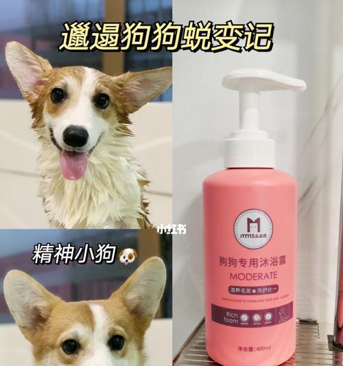 为什么狗狗要用专用沐浴露洗澡？（了解狗狗皮肤与专用沐浴露的重要性）