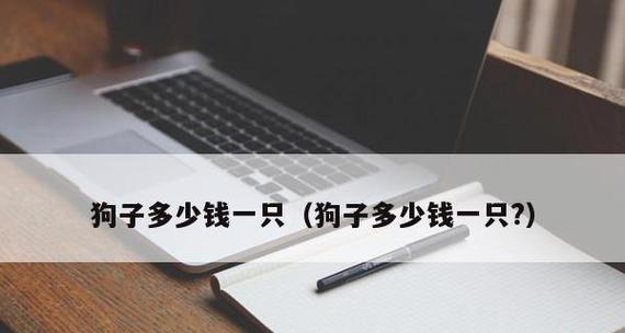 喜乐蒂牧羊犬厌食，如何解决？（以宠物为主，帮助爱犬摆脱食欲问题）