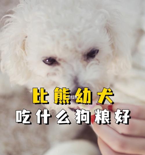 如何为宠物狗选择适合的狗粮？（幼犬吃狗粮需要多少钱？——以宠物为主，为您详解。）