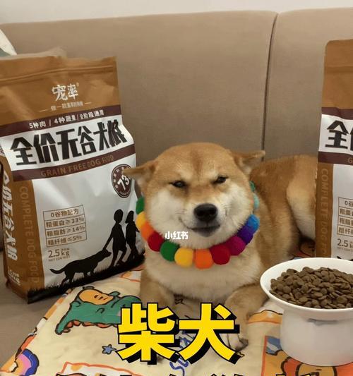 柴犬七个月一顿应该吃多少狗粮？（以宠物健康为重，为您详解柴犬饮食需求）