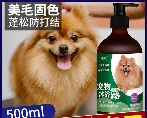 宠物狗必备用品一览（打造高质量生活，从宠物用品开始）