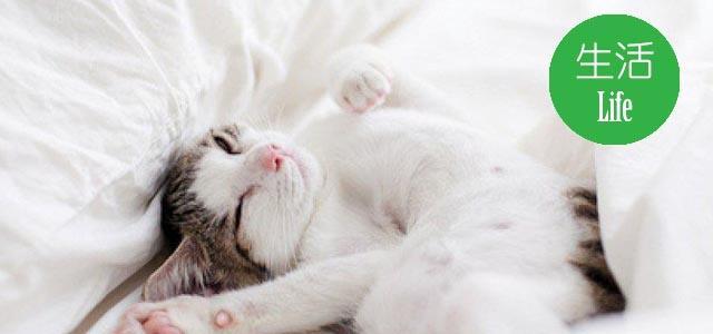 猫咪憋尿怎么办？15个方法教你轻松解决！（从宠物行为到环境变化，一一解析如何帮助猫咪消除憋尿问题。）
