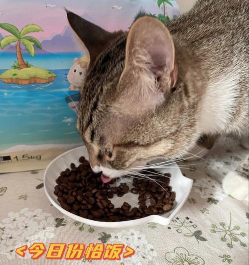 为什么猫咪不吃猫粮只喝水很健康？（探讨猫咪饮食习惯的变化和对健康的影响）