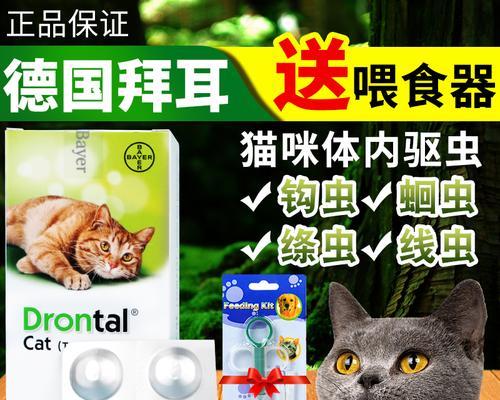 拜耳对猫咪的影响——以一只吃了拜耳但未出现异常的猫咪为例（探讨宠物药品使用的安全性和注意事项）