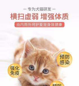 猫咪误食利尿通，如何应对？（宠物吃药出现意外情况该怎么办？）