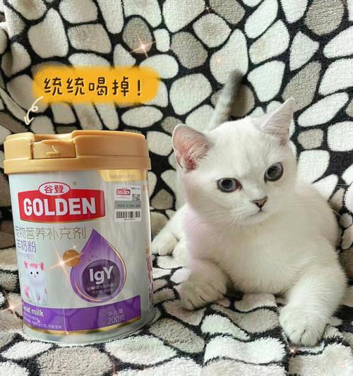 小猫没有羊奶粉该怎么办？