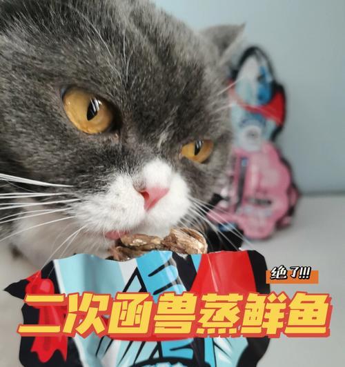 猫咪每天吃四条鱼的正确饮食方式（科学喂养，让宠物更健康）