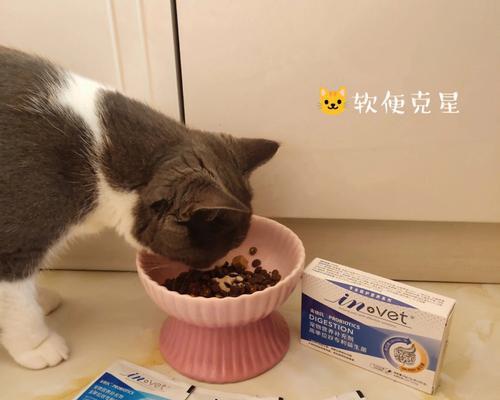 小猫拉稀后不吃东西怎么办？（以宠物为主的拉稀治疗方法，让您的小猫健康成长。）