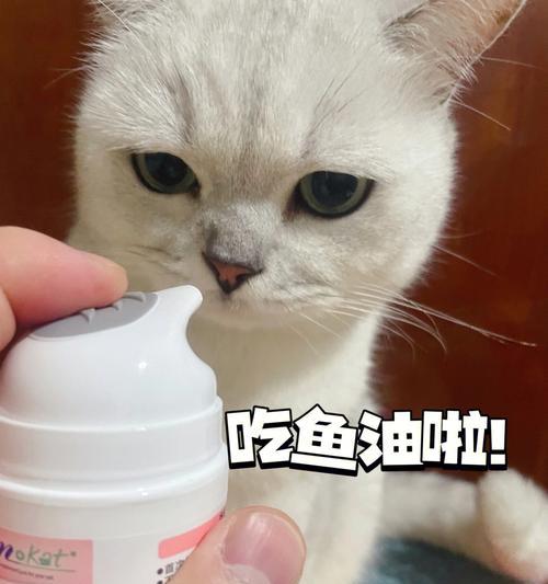 宠物小猫不吃东西怎么办？（解决猫咪挑食问题的5个技巧）