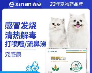 狗感冒咳嗽应该如何治疗？（宠物犬感冒咳嗽的症状及药物治疗方法，以及注意事项。）