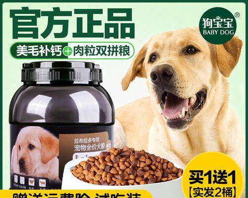 五个月金毛犬每餐需要多少狗粮？（以宠物为主，科学喂养健康成长）