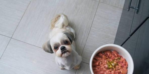 幼犬健康饮食指南（幼犬饮食习惯、营养需求和建议）