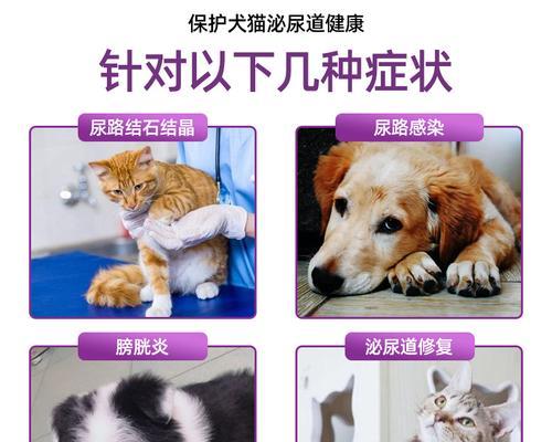 如何解决猫咪尿频每次只尿一点的问题？