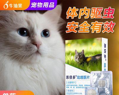 如何给三个月的猫咪正确地吃驱虫药（细节决定成败，一定要注意！）