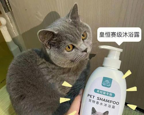 小猫咪可以用沐浴露洗澡吗？（以宠物为主，安全洗澡小技巧）