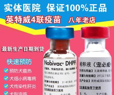英特威猫咪疫苗价格全解析（以宠物为主，一只疫苗的费用你知道吗？）