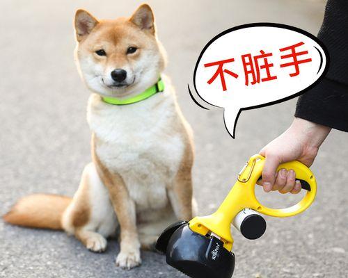 狗狗便便颜色变浅或变深，这是什么原因？（了解宠物便便颜色的变化及其影响）