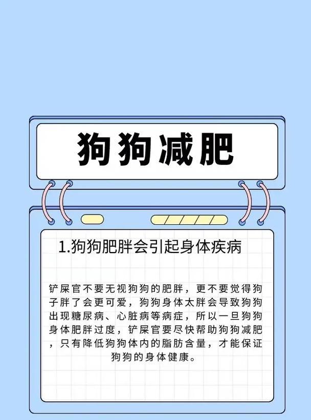 以宠物为主，为您提供详细的萨摩耶饮食指南（以宠物为主，为您提供详细的萨摩耶饮食指南）