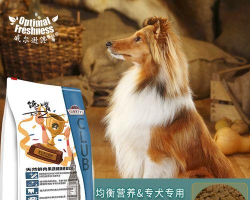 六个月比格犬的饮食指南（了解半岁比格犬应该吃多少狗粮，做好它们的健康饮食管理）