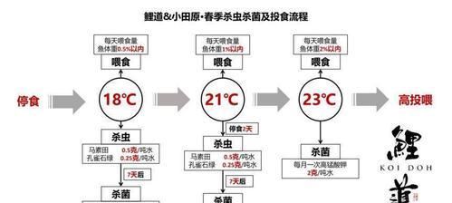 西里汉梗饲养全攻略（了解西里汉梗的特点与需求，让你的宠物健康快乐）