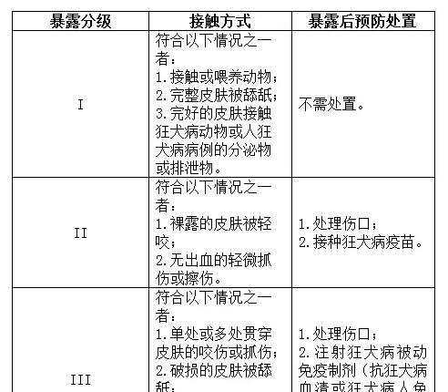 奇努克犬饲养指南（关注健康，呵护宠物快乐成长）