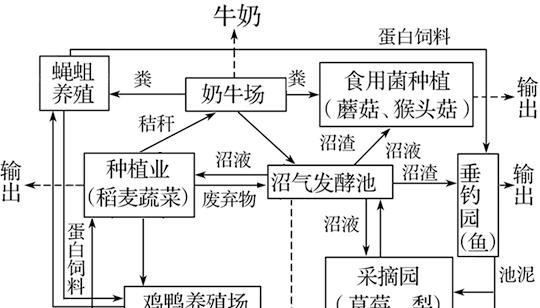 全面了解新英格兰棉尾兔的饲养方法（掌握兔舍搭建、饲料选择、健康管理等关键技巧）