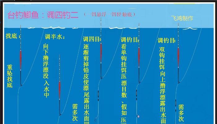 《如何科学饲养凤尾短鲷》（从宠物店到家庭，让它健康快乐的成长）