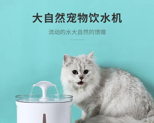 猫咪自动饮水机，让你的宠物更健康（为什么猫咪需要喝水？）