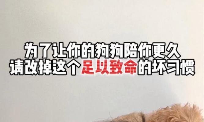 如何正确喂养幼犬（解决幼犬喂食常见问题，让你的宠物更健康）