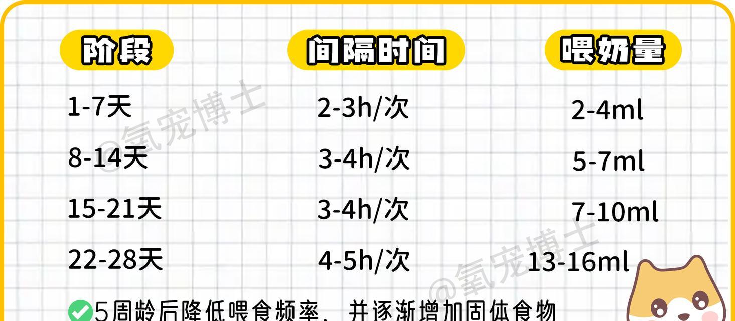 小猫咪年龄知多少（了解宠物猫咪的成长周期及年龄特征，助你更好地照顾它们）