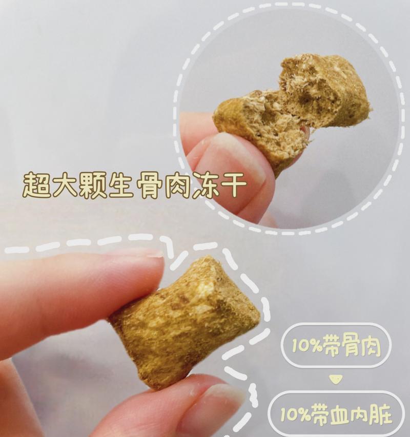 如何处理猫咪吐完口水后的情况？（掌握正确方法，保证猫咪健康）