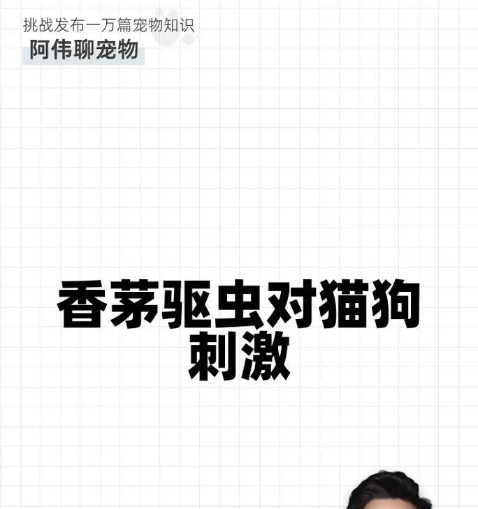 狗狗驱虫后不吃东西该怎么办？（驱虫、进食、健康、宠物）