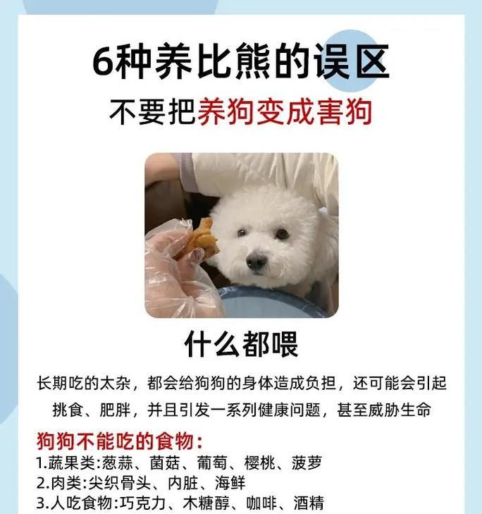 养比熊犬必知要点（培养与比熊犬默契、如何防止疾病、科学饲养健康成长）