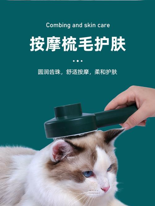 梳毛，猫咪的健康秘诀（以宠物为主，梳毛十五讲解）