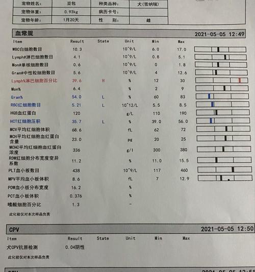 如何发现你的雪纳瑞宠物快要去世的征兆（了解这些征兆，及早发现宠物健康问题，为宠物送行做好准备）