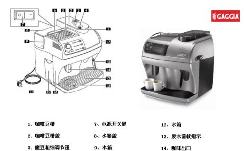 如何科学饲养几何陆龟（宠物爱好者必看，）