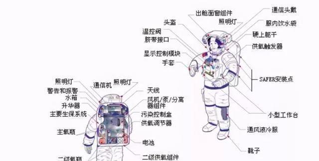 火箭吊的饲养方法（如何正确饲养火箭吊？）