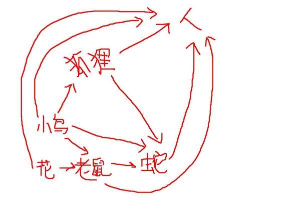 日本田鼠的饲养方法（从选购到喂养，打造健康可爱的小宠物）